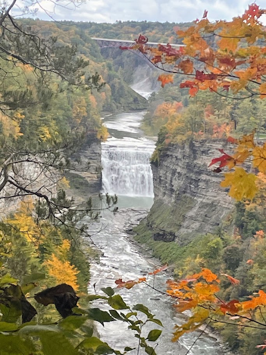 Stepping into Silence (Video)